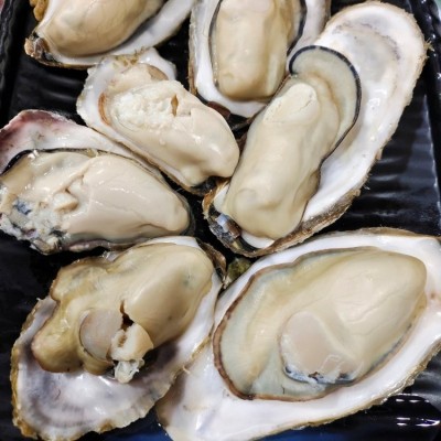鲜活海产品贝类生蚝 货源三倍体 牡蛎带壳 整箱原产地发货 金贝丰图4