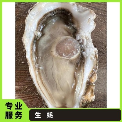 人工养殖 烧烤 海水 冷藏 食用农产品 整箱 成活率≥99 生蚝图3