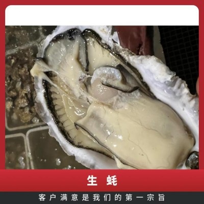人工养殖 烧烤 海水 冷藏 食用农产品 整箱 成活率≥99 生蚝图2