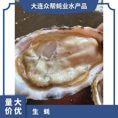 人工养殖 烧烤 海水 冷藏 食用农产品 整箱 成活率≥99 生蚝图4