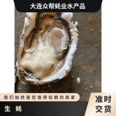 人工养殖 烧烤 海水 冷藏 食用农产品 整箱 成活率≥99 生蚝图5