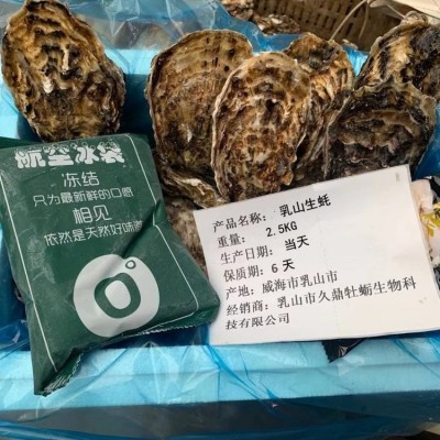 鲜活水产 乳 山 牡蛎 带壳海蛎子 生蚝 新鲜好品质图3