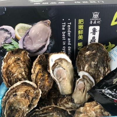 鲜活水产 乳 山 牡蛎 带壳海蛎子 生蚝 新鲜好品质图4