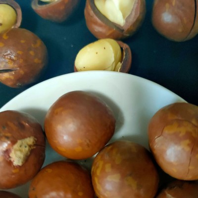 【小额批发】坚果夏威夷果 新货奶香味零食袋包装500g开口大颗粒图2