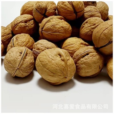 新疆185纸皮核桃 批发 原味纸皮熟核桃干果炒货零食图2