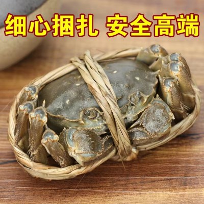 蟹子莱精品鲜活大闸蟹螃蟹母蟹3.5两公4.5两10只阳澄湖公母礼盒装图3