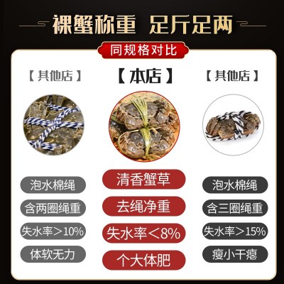 蟹子莱精品鲜活大闸蟹螃蟹母蟹3.5两公4.5两10只阳澄湖公母礼盒装图5