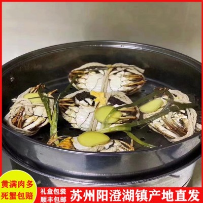 鲜活大闸蟹礼盒装产地直发-全国空运包邮-一件代发死蟹包赔2288型图5