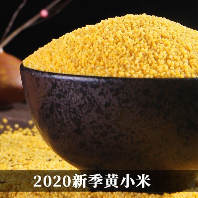 扶风寨米脂黄小米礼盒 宝宝米月子米图2