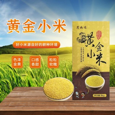 黄小米当季新米农家食用小米香糯粘五谷杂粮粥月子米一件代发源头图3