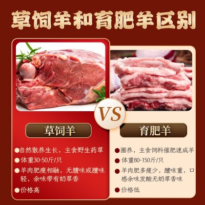 首菜首家苏尼特羊肉卷1斤/件鲜羊肉烧烤火锅食材牛肉羊肉厂价直供图3