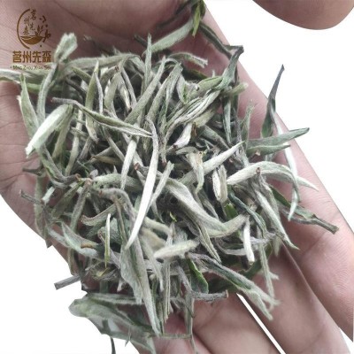 2022年新茶福鼎白茶白牡丹贵州厂家白毫银针明前头采散装白茶茶叶图3