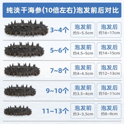 大连淡干海参干货批发50g水产品海鲜商用家用海参礼盒一 件代发图4