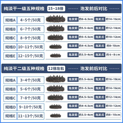 大连纯淡干海参干货批发深海底播辽刺参散装海鲜水产干货礼 盒商用图3