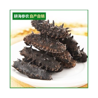 产地货源大连海参干货批发底播淡干辽参水产干货大连特产淡干海参图4