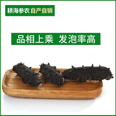 海参工厂大连特产淡干海参干货批发水产干货辽参大连海参批发图3