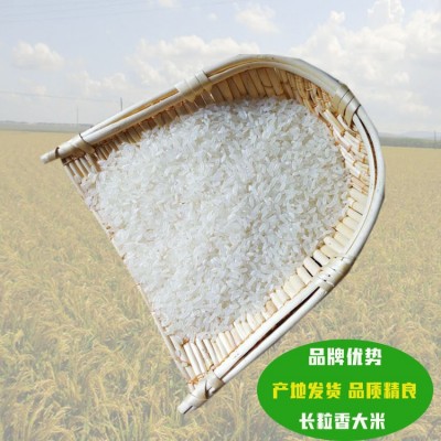 产地货源黑龙江大米江水灌溉长粒香米编织袋包装10kg/件厂家直发图2