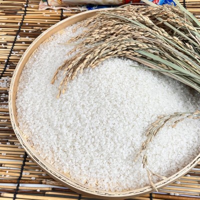 新米东北特产珍珠米2.5kg5斤产地直发圆粒粥米现磨现发五常大米图2