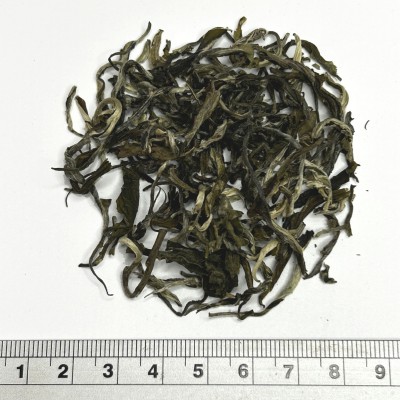 【欧盟有机绿茶】出口银毫毛峰绿茶广西白毫茶树高香绿茶散装图5
