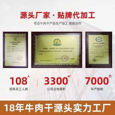 美滋草原风干牛肉干内蒙古特产儿童手撕牛肉干零食牛肉干真空熟食图2