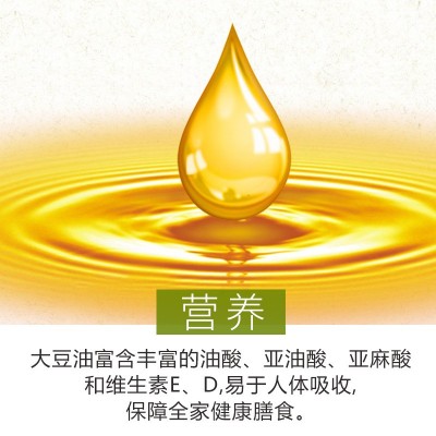 大荒荟萃一级大豆色拉油5升 东北非转基因食用油批发包邮代发图3