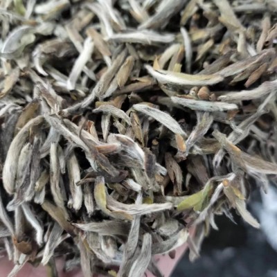 2018年福鼎的白茶老银针可可香白毫银针春茶叶散茶茶叶批发图5