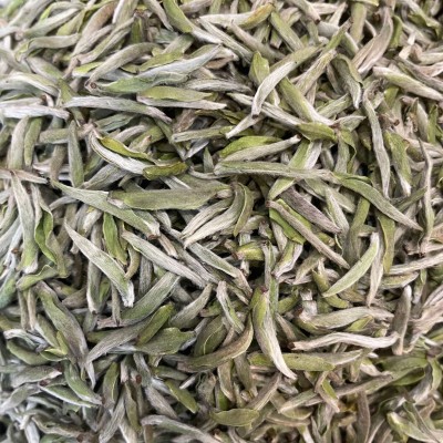 2023年福鼎白茶头春头采米粒芽 白毫银针春茶叶500g散茶高山厂家图2