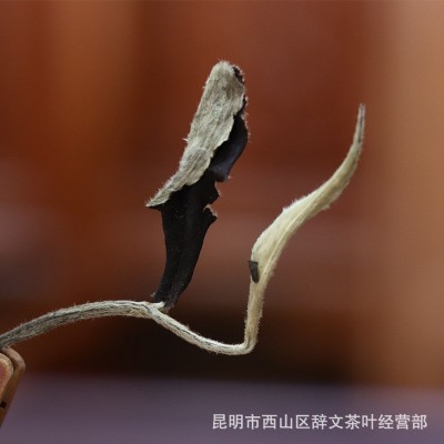 云南厂家批发白茶月光白 普洱茶生茶 一芽一叶单芽汤色黄亮香气好图2