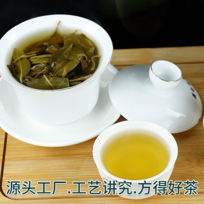云南糯伍老树茶叶古树纯料普洱茶生茶散装500g厂家批发大量供应图4