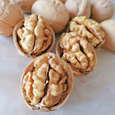 批发新疆185纸皮核桃肉饱满手捏即开手剥 185核桃 新疆薄皮核桃图3