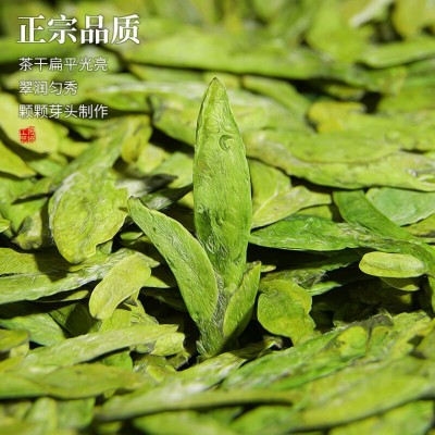 龙井绿茶春茶茶叶嫩芽高山绿茶正宗杭州原产豆香型袋装图4