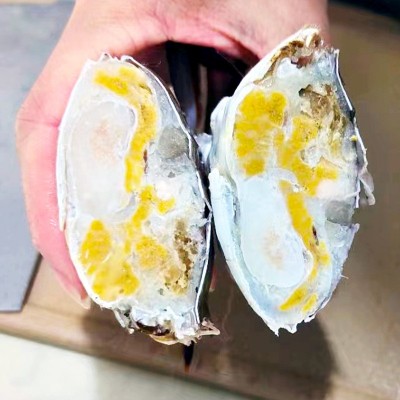 舟山清蒸鲜活液氮梭子蟹黄膏呛蟹生腌蟹小娘蟹二母蟹飞蟹非红膏蟹图4