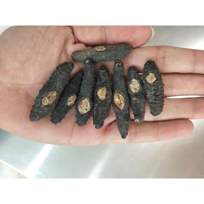 工厂货源 土耳其米刺海参 希腊米刺参非大连即食海参 米刺参500克图3