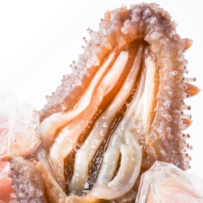 工厂直供大连即时海参批发代发无水发大连鲜食即食海参500G装图5