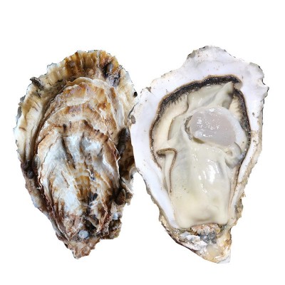 乳山鲜活生蚝批发流通货8成肥50斤1箱海鲜水产烧烤团购山东牡蛎图2