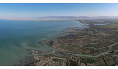 新疆，何以成“水产大省”