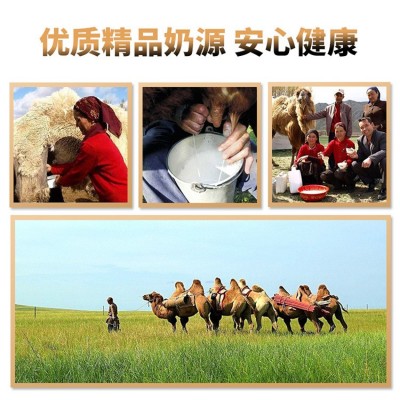 高山牧场新疆厂家驼奶粉招商批发初乳配方驼乳粉代理中老年人驼奶图2