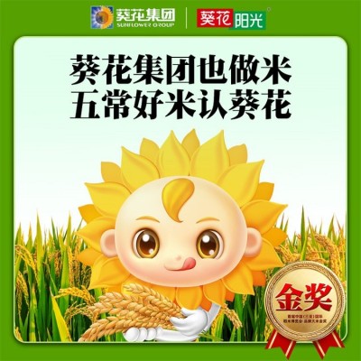 优选原粮稻花香2号 五常大米选葵花阳光 正宗东北大 米图2