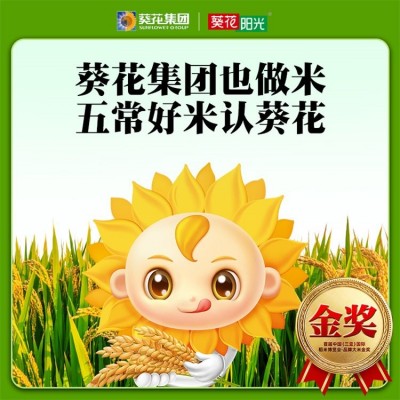 正宗东北五常稻花香大米 味香劲道软糯 葵花阳光米业图2