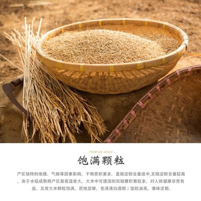 傣乡香米 自种自产自销生态大米饱满圆润 袋装5kg图5