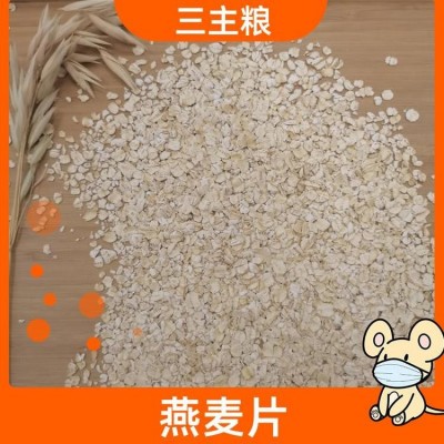 精细切片口感柔软 燕麦片 厂家现货 低脂杂粮冲调谷物 三主粮图3