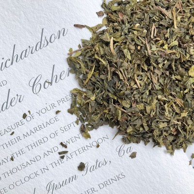广西横县茉莉花茶茉莉绿茶茉莉片茶散装茶叶浓香茉莉银针茶叶批发图4