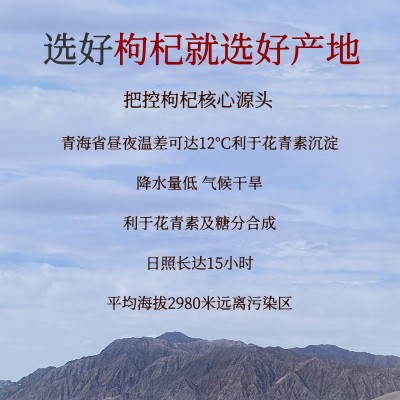 黑枸杞 精选大果120克 青海柴达木诺木洪黑枸杞子 健康养生茶饮图2