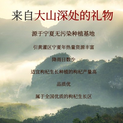 枸杞子宁夏中宁头茬红枸杞干货特优级免洗泡水大果枸己王苟枸养生图3