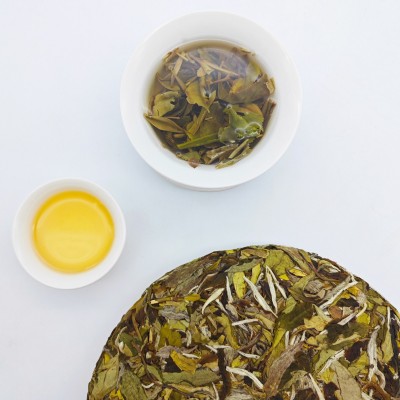 福鼎高山白茶白牡丹王茶饼陈年贡眉花香300克白牡丹饼厂家批发图4