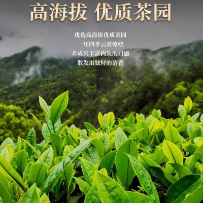 碧螺春绿茶2023新茶叶正宗明前散装一级碧螺春嫩芽茶散装春茶500g图2