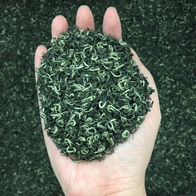 碧螺春绿茶2023新茶叶正宗明前散装一级碧螺春嫩芽茶散装春茶500g图4