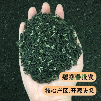 碧螺春绿茶茶 2023新茶明前特级春茶高山云雾毛尖茶散装批发500g图2