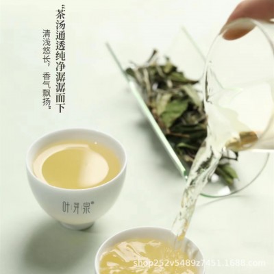 福鼎白茶叶芽泉一等奖 2021寿眉396克白茶寿眉图4
