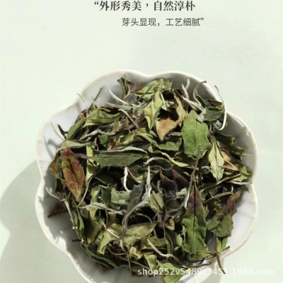福鼎白茶叶芽泉一等奖 2021寿眉396克白茶寿眉图3